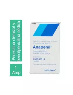 Anapenil 1.000.000 U Frasco Ámpula y Con 1 Ampolleta – RX2