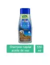 Shampoo Capilar De Aceite De Oso Botella Con 500 mL + 50 mL Gratis