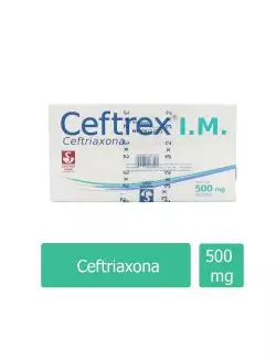 Ceftrex I.M 500 mg  Caja Con Frasco Ámpula y Ampolleta Diluyente -RX2