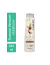 Shampoo Bioexpert Hidratacion 650 Ml.