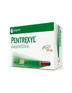 Pentrexyl 500 mg 28 Cápsulas-RX2