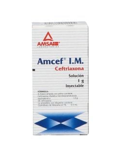 Amcef Solución Inyectable 1 g Frasco Ámpula De 3.5 mL - RX2