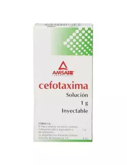 Cefatoxima IM Solución Inyectable Frasco Ámpula 1 g Con Diluyente 4 mL - RX2