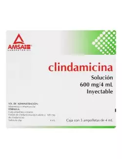 Clindamicina 600 mg/ 4mL Solución Inyectable Caja con 5 Ampolletas-RX2