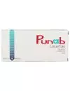 Punab 100 mg Caja Con 15 Tabletas