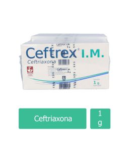 Ceftrex IM Solución Inyectable Frasco Ámpula 1 g Packviales Con 5 Cajas - RX2