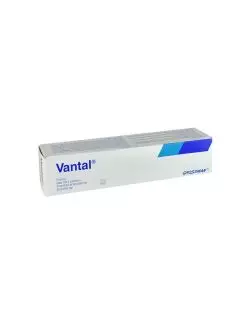 Vantal Pasta Caja Con Tubo Con 60 g