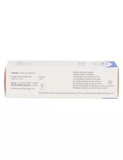 Sigdan 0.5 mg/mL Suspensión Pediátrica Para Inhalación Con 10 mL