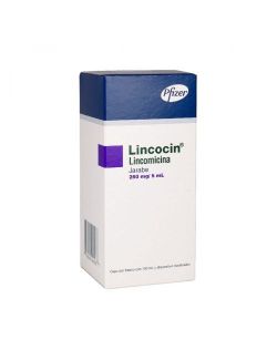Lincocin Jarabe 250mg/5mL Caja Con Frassco Con 100mL RX2