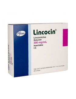 Lincocin Solución 300 mg/mL Caja Con 6 Jeringas Prellenadas Con 1mL RX2