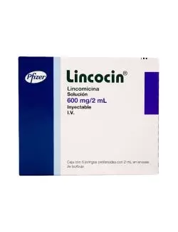 Lincocin 600mg/2mL Caja Con 6 Jeringas Prellenadas Con 2mL RX2