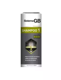 Sistema GB Shampoo Uno Frasco Con 230 mL – Caspa