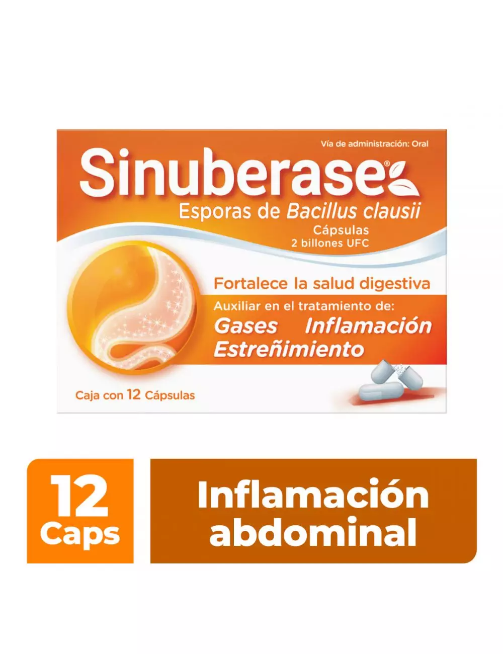 Sinuberase Probióticos 2 billones de UFC 12 Cápsulas. Fortalece la Salud Digestiva.