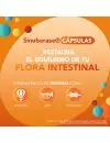 Sinuberase Probióticos 2 billones de UFC 12 Cápsulas. Fortalece la Salud Digestiva.