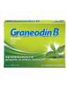 Graneodin B Past Men/Euc 10Mg X 24