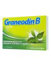 Graneodin B Past Men/Euc 10Mg X 24