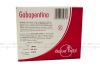 Gabapentina 300 mg Caja Con 15 Cápsulas SDT