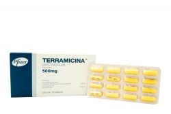 Terramicina 500 mg Caja Con 16 Cápsulas - RX2