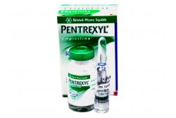 Pentrexyl Inyectable 500 mg Caja Con Ampolleta De 2 mL RX2