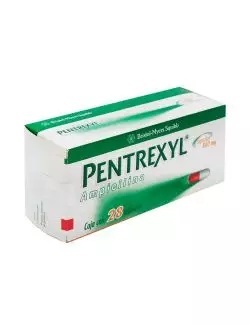 Pentrexyl 500 mg Caja Con 28 Cápsulas - RX2