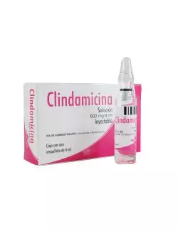 Clindamicina 600mg Solución Inyectable -RX2 SDT