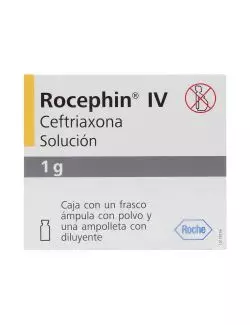 Rocephin IV 1g Caja Con Frasco Ámpula Con Polvo Y Ampolleta Con Diluyente - RX2