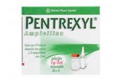 Pentrexyl 1 g Caja Con 3 Frascos Ámpula Con Polvo y 3 Ampolletas Con 3mL -RX2