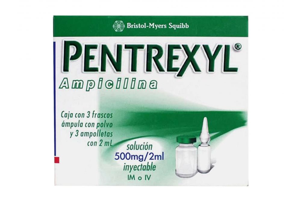 Pentrexyl Inyectable 500 mg Caja Con 3 Ampolletas Con 2 mL Cada Una RX2