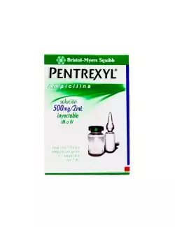 Pentrexyl Inyectable 500 mg Caja Con Ampolleta De 2 mL RX2