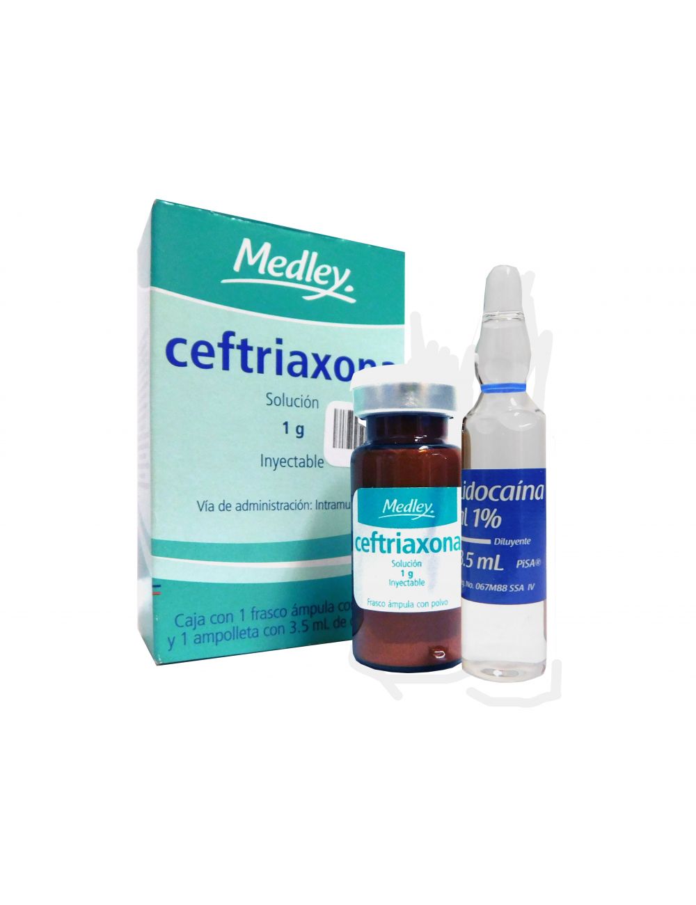 Ceftriaxona 1g Caja Con Frasco Ámpula y Ampolleta Con Diluyente 3.5 mL -RX2