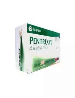 Pentrexyl 500 mg Con 28 Cápsulas - RX2