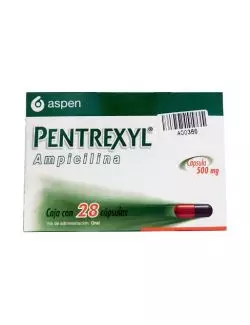 Pentrexyl 500 mg Con 28 Cápsulas - RX2