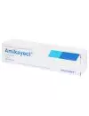 Amikayect 500 mg Caja Con 1 Jeringa Desechable 2 mL - RX2