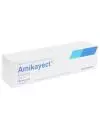 Amikayect 500 mg Caja Con 1 Jeringa Desechable 2 mL - RX2