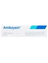 Amikayect 500 mg Caja Con 1 Jeringa Desechable 2 mL - RX2