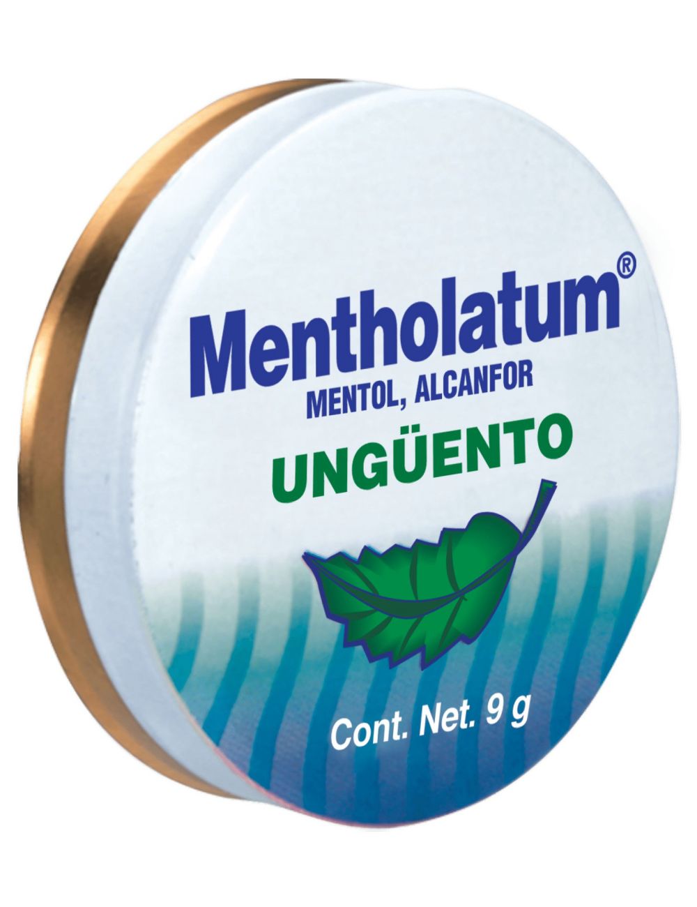 Mentholatum Ungüento Lata Con 9 g Mentholatum Ungüento Lata Con 9 g