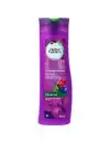 HERBAL ESSENCES CURVAS PELIGROSAS FRASCO CON 300 ML – SHAMPOO