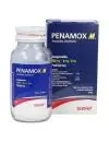 Penamox M Suspensión Pediátrica 250 mg / 8 mg / 5 mL Caja Con Frasco Con 75 mL -RX2