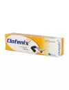 Clofenix 1 g Crema Tubo 60 g   Lg