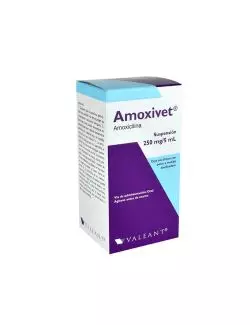 Amoxivet Suspensión 250 mg / 5 mL Caja Con Frasco Con 75 mL - RX2