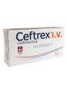 Ceftrex IV 1g Caja Con Frasco Ámpula RX2