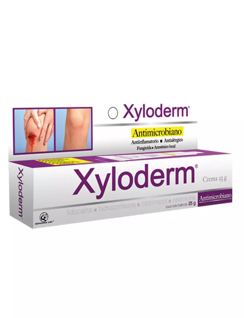 Xyloderm Caja Con Tubo Con 25 g