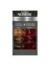 TIN NUTRISSE GARNIER NEGRO-RUBI 260