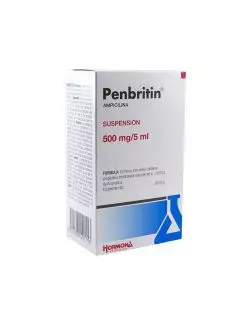 Penbritin 500mg/5mL Suspensión Caja Con Frasco Con Polvo Para 100mL -RX2