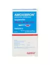 Amoxibron Pediátrica 500 Mg  8 Mg 5 Ml Frasco Con 75 Ml-Rx2