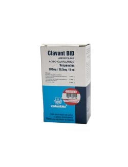 Clavant-Bid Supensión 200mg/28.5mg/5mL Caja Con Frasco Con Polvo Para 70mL - RX2