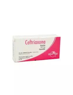 Ceftriaxona Solución Inyectable 500 mg Frasco Ámpula –RX2