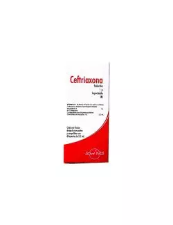 Ceftriaxona 1 g Soluciòn Inyectable Frasco Ámpula y Ampolleta de 3.5 mL RX2