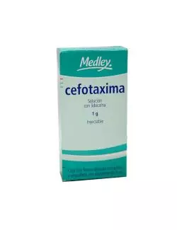 Cefotaxima 1 g Solución Inyectable Frasco Ámpula -RX2