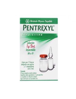 Pentrexyl Inyectable 1g Caja Con Ampolleta 3 mL RX2